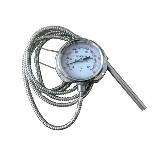Anti-vibration Thermometer